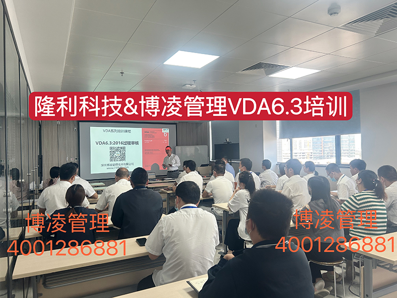 隆利集團(tuán)和博凌管理顧問(wèn)開(kāi)展一周VDA6.3過(guò)程審核課程培訓(xùn)
